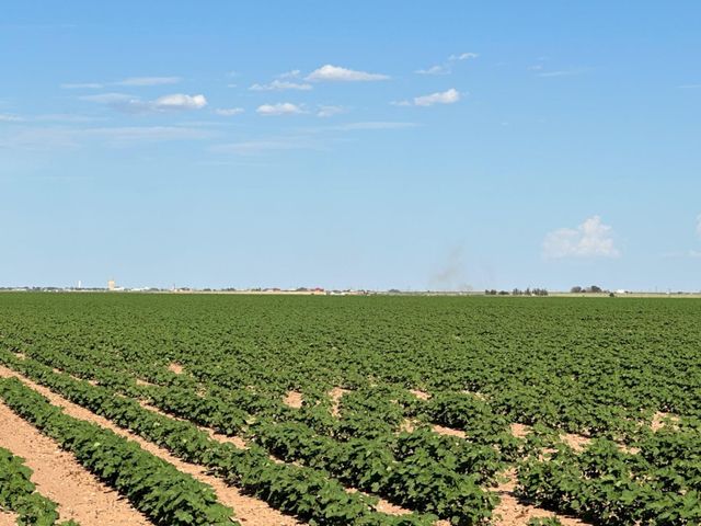 4083 Hawk Road, Ropesville, TX 79358