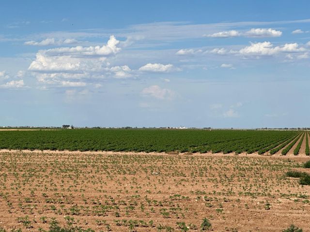 4083 Hawk Road, Ropesville, TX 79358