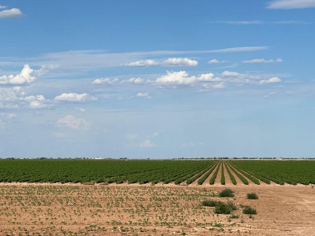 4083 Hawk Road, Ropesville, TX 79358