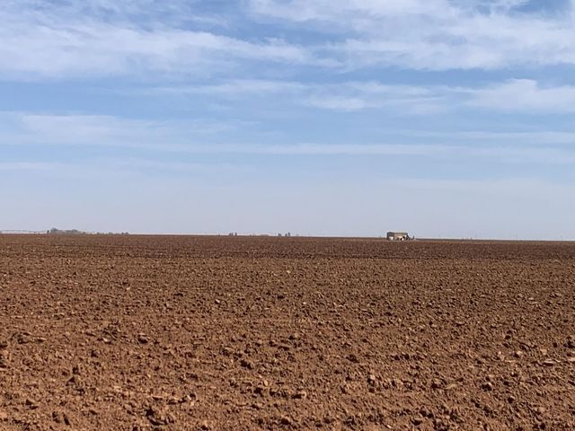 4083 Hawk Road, Ropesville, TX 79358