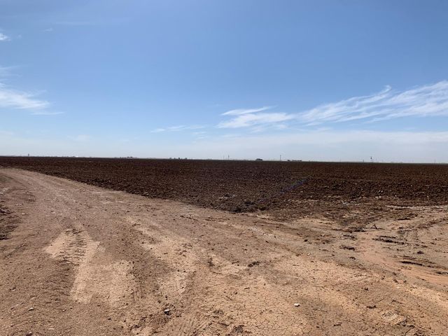 4083 Hawk Road, Ropesville, TX 79358