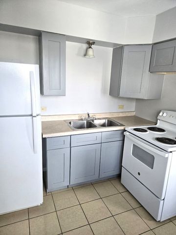 400 W Division Street 3, Villa Park, IL 60181