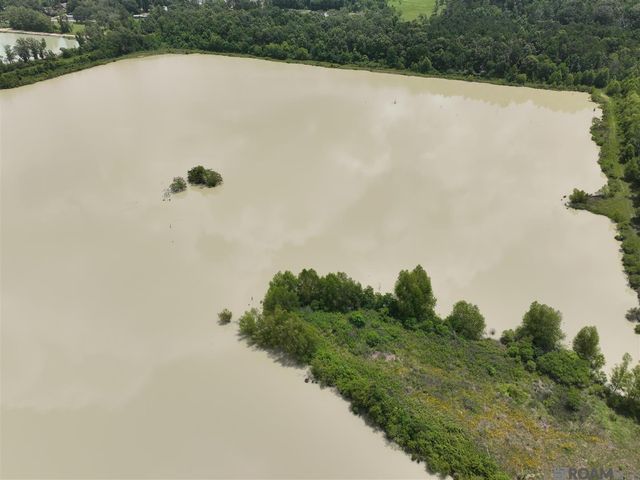 51.97 Acres Linder Rd, Denham Springs, LA 70726