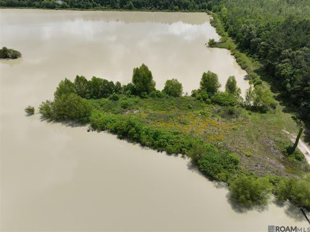 51.97 Acres Linder Rd, Denham Springs, LA 70726