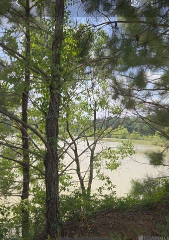 51.97 Acres Linder Rd, Denham Springs, LA 70726