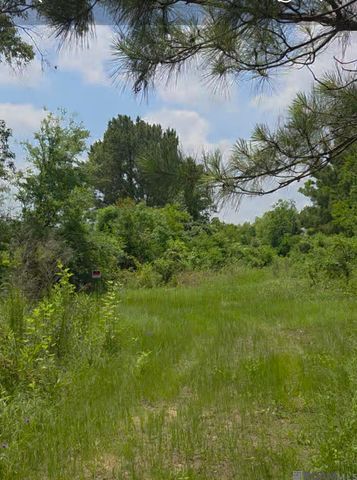 51.97 Acres Linder Rd, Denham Springs, LA 70726