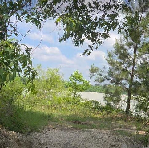 51.97 Acres Linder Rd, Denham Springs, LA 70726