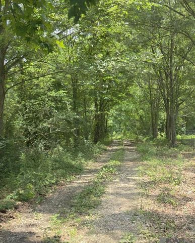 51.97 Acres Linder Rd, Denham Springs, LA 70726