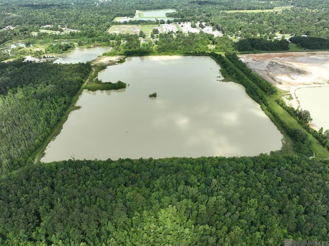 51.97 Acres Linder Rd, Denham Springs, LA 70726