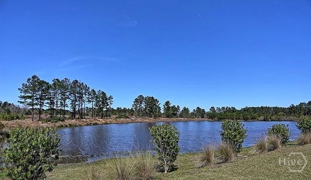 230 Lake Lily Drive, Richmond Hill, GA 31324