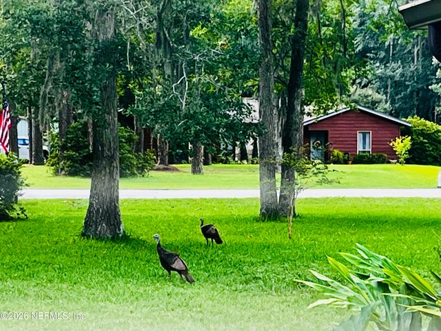 1131 CACTUS CUT Road, Middleburg, FL 32068