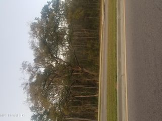 Daisy Vestry Road, Biloxi, MS 39532