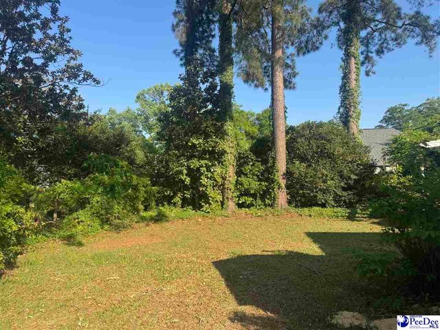 446 S Thomas Road, Florence, SC 29501