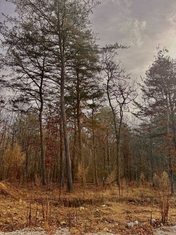 0 Summerfield Road, Monteagle, TN 37356