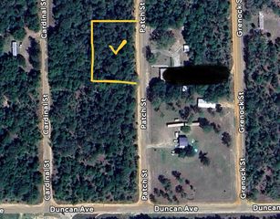 PATCH ST, Interlachen, FL 32148