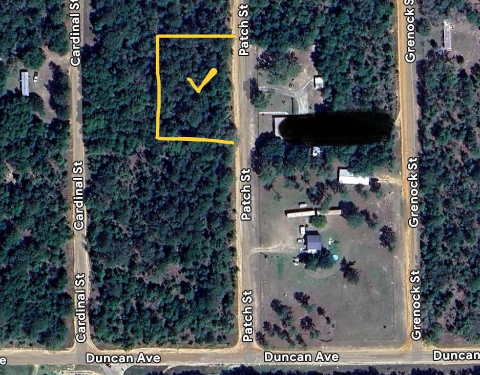 PATCH ST, Interlachen, FL 32148