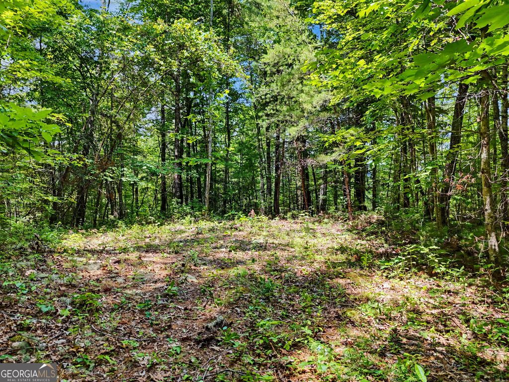 0 Hidden Falls Drive LOT 3, Tiger, GA 30576 — exterior