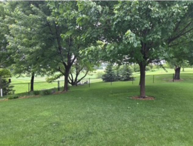 4691 Arctic Lane NW, Rochester, MN 55901