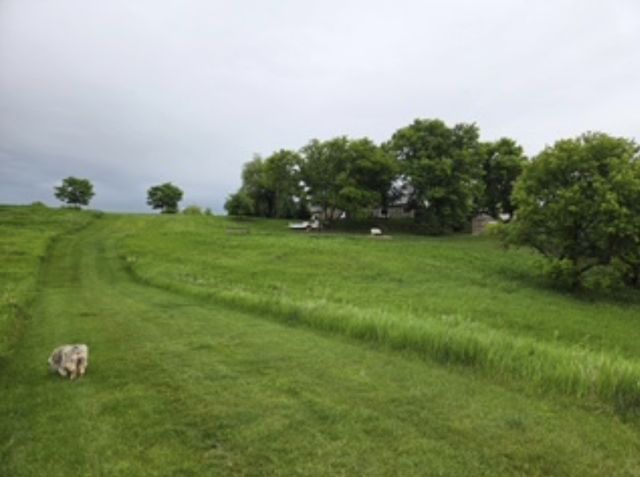 4691 Arctic Lane NW, Rochester, MN 55901