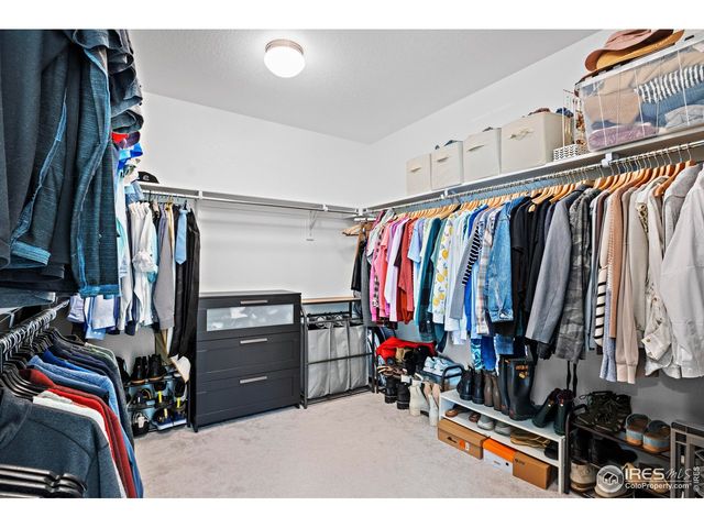 8353 Bijou Creek Ave, Littleton, CO 80125