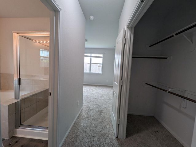 23634 Buttress Root Drive, Spring, TX 77373