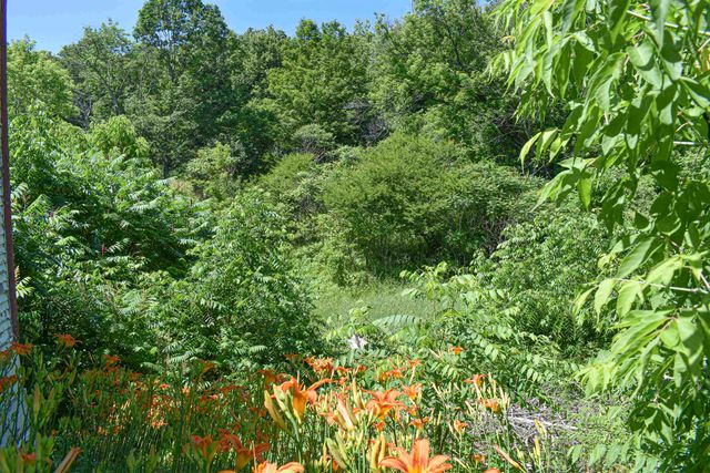 71 Maple Street, Brandon, VT 05733