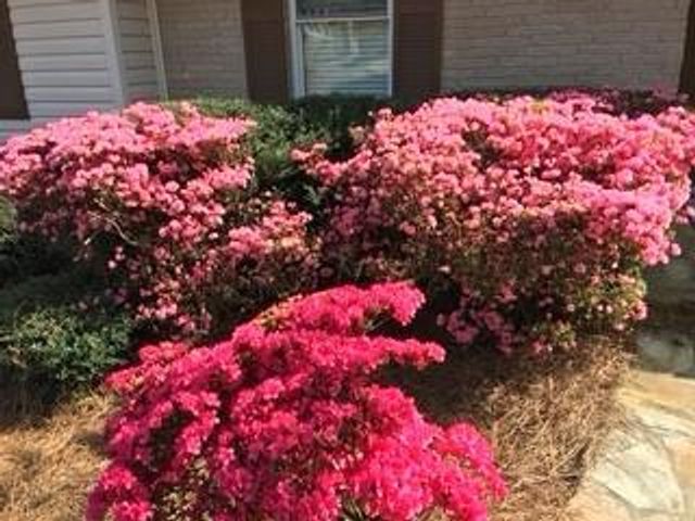 494 Embry Lane, Marietta, GA 30066