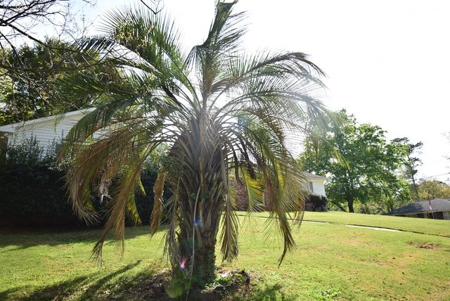 3740 Wingate Drive, Columbus, GA 31909