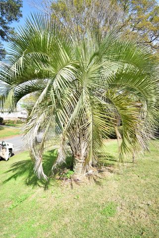 3740 Wingate Drive, Columbus, GA 31909