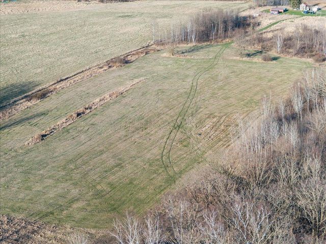 7969 65th Avenue SW, Meadowbrook Twp, MN 56466