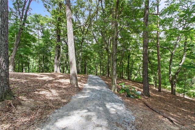 14809 Highpoint, Northport, AL 35475