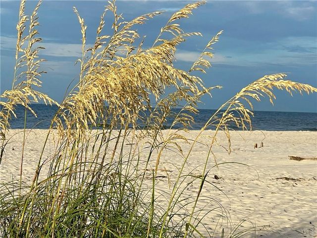 119 Epinet Street, Dauphin Island, AL 36528