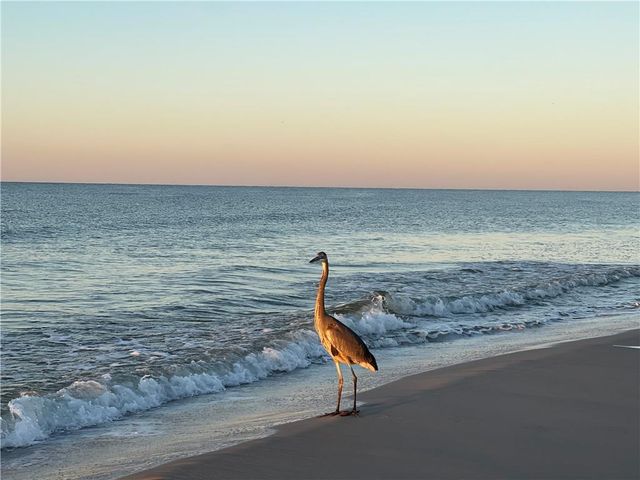 119 Epinet Street, Dauphin Island, AL 36528