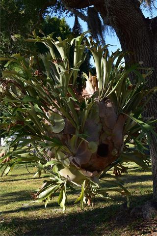 6805 ANAPA COURT, North Port, FL 34287