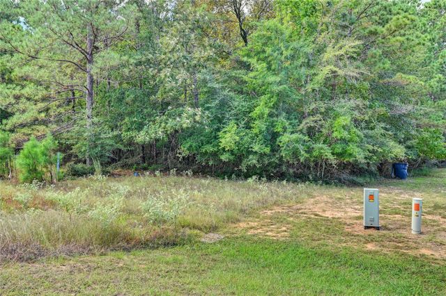 148 Port Au Prince Court, Montgomery, TX 77316