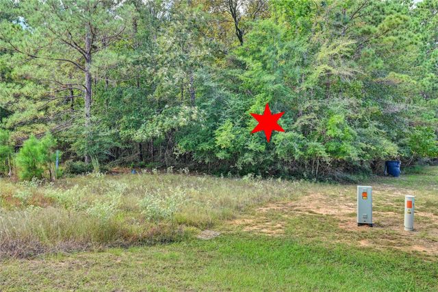 148 Port Au Prince Court, Montgomery, TX 77316