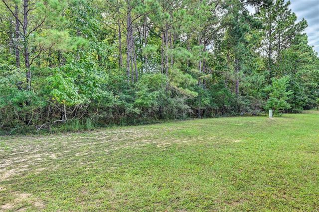 148 Port Au Prince Court, Montgomery, TX 77316