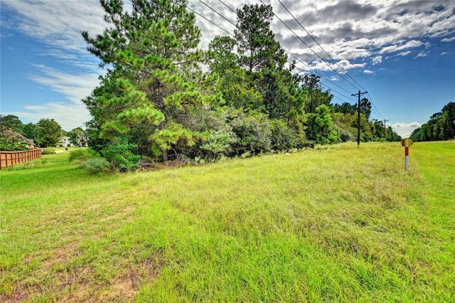 148 Port Au Prince Court, Montgomery, TX 77316