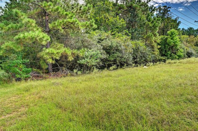 148 Port Au Prince Court, Montgomery, TX 77316