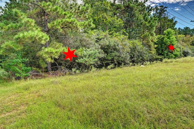 148 Port Au Prince Court, Montgomery, TX 77316