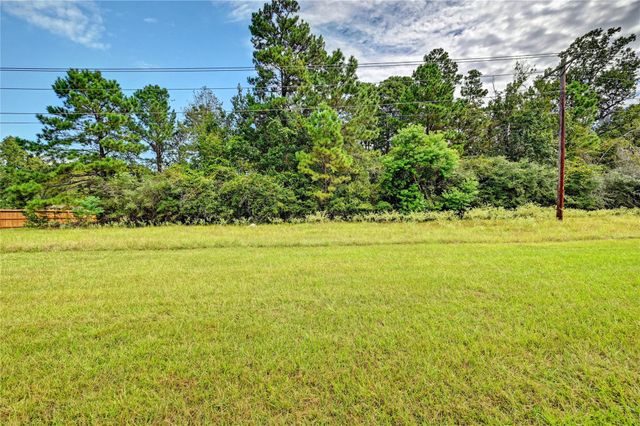 148 Port Au Prince Court, Montgomery, TX 77316