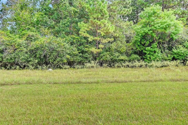 148 Port Au Prince Court, Montgomery, TX 77316