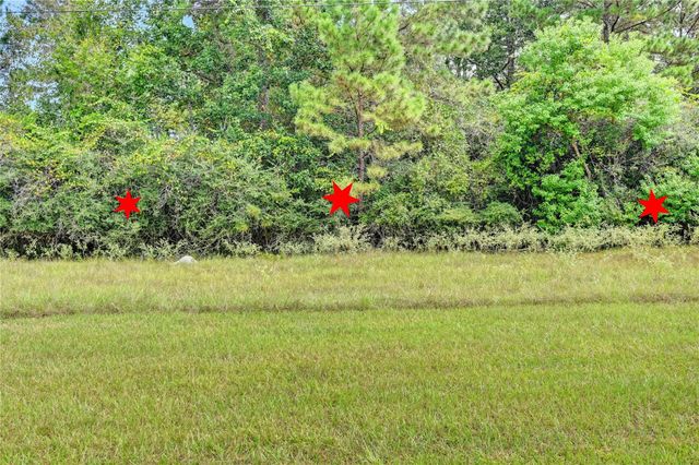 148 Port Au Prince Court, Montgomery, TX 77316