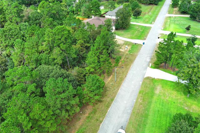 148 Port Au Prince Court, Montgomery, TX 77316