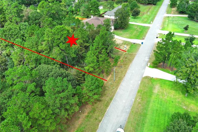 148 Port Au Prince Court, Montgomery, TX 77316