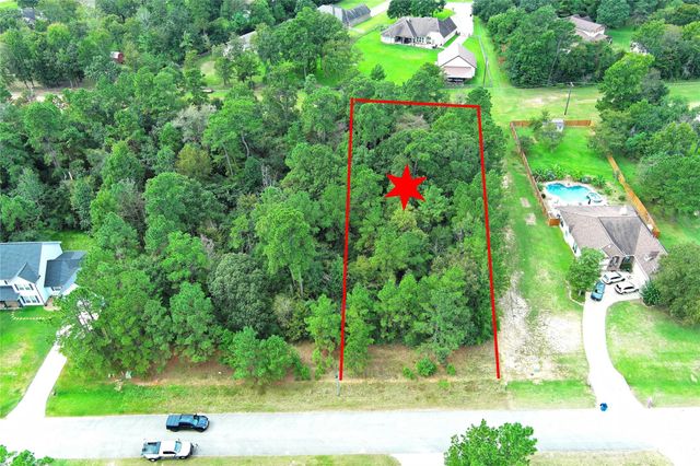 148 Port Au Prince Court, Montgomery, TX 77316