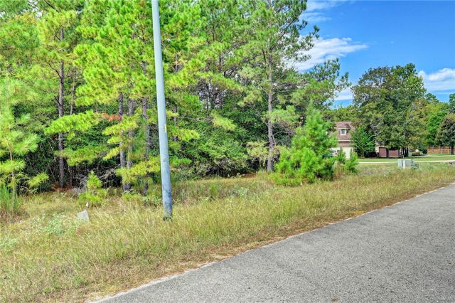 148 Port Au Prince Court, Montgomery, TX 77316