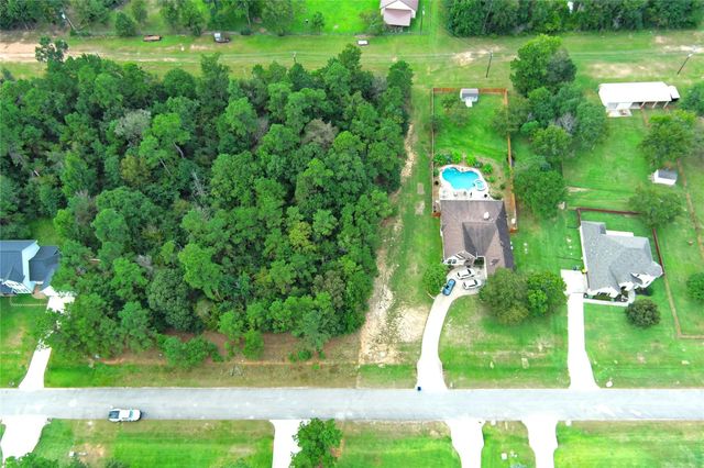 148 Port Au Prince Court, Montgomery, TX 77316