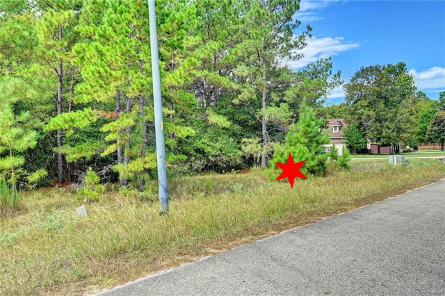 148 Port Au Prince Court, Montgomery, TX 77316