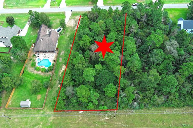 148 Port Au Prince Court, Montgomery, TX 77316